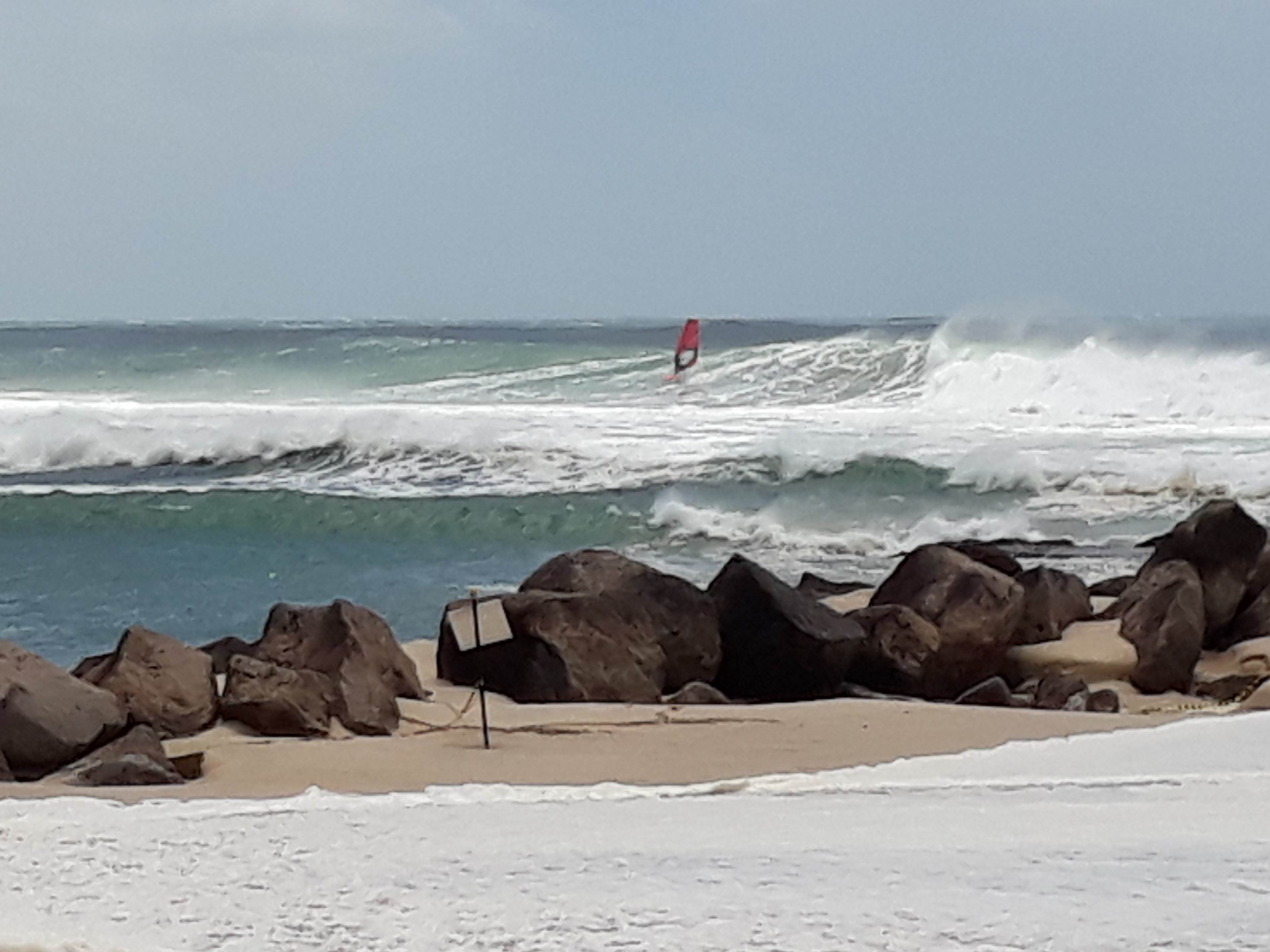 Oma at Currumbin Sat 23rd Feb 2019