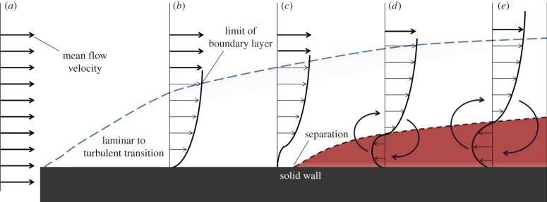 Stages-of-boundary-layer-development-on-a-flat-plate-subjected-to-an-adverse-pressure.png