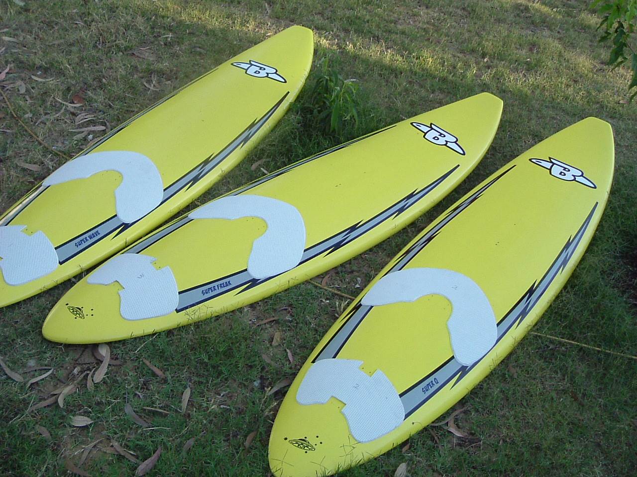 2005 0625balsayellow0008