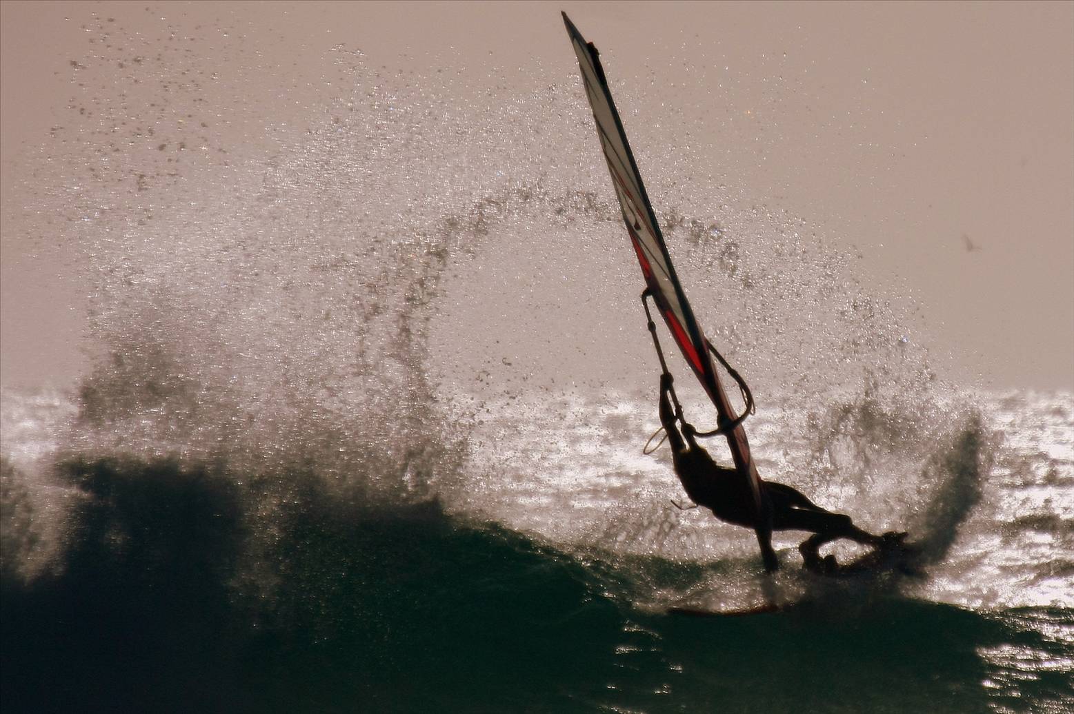 Jaeger  Stone Esperance  feb 08