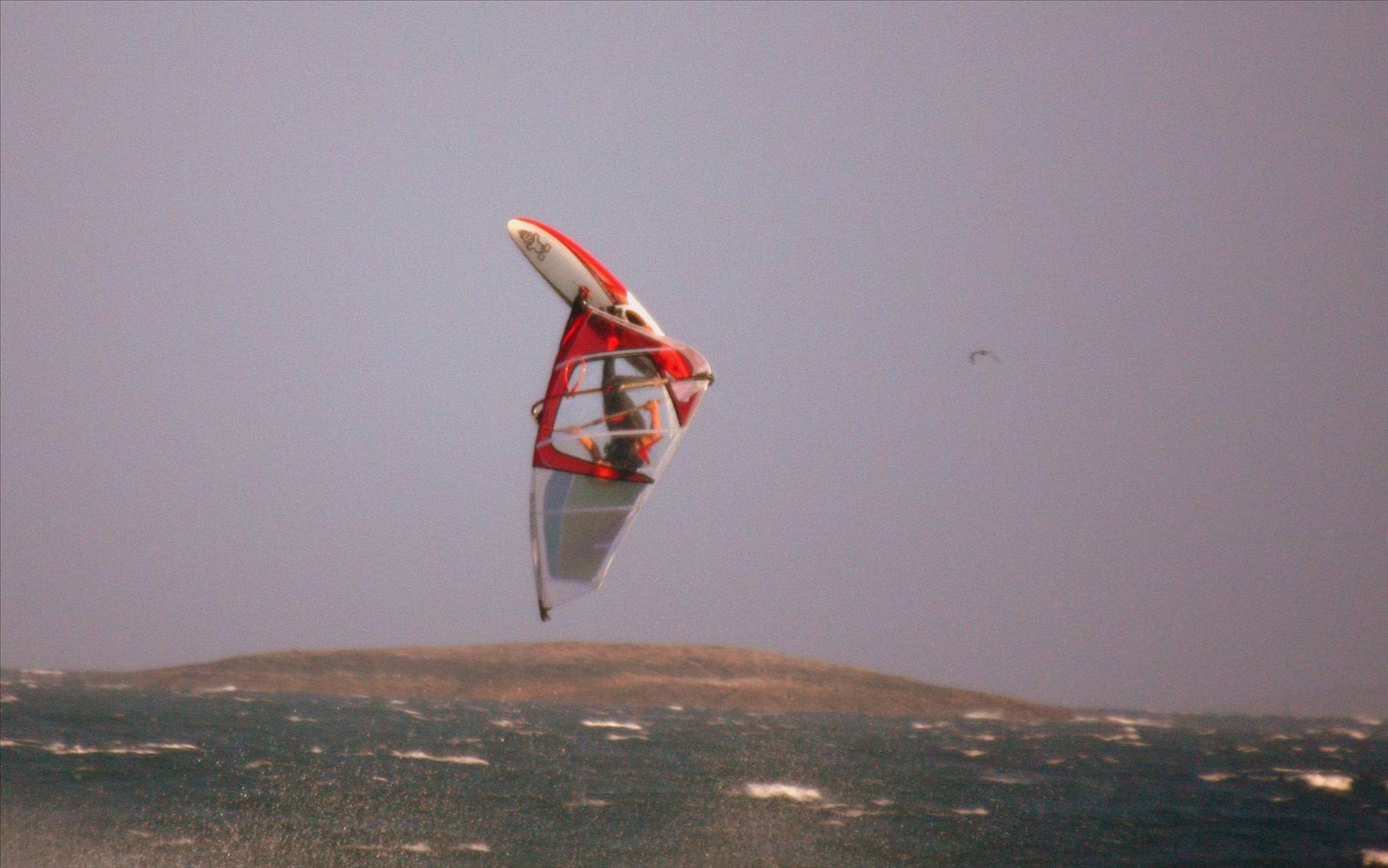 Jaeger Stone up with the birds Esperance   Feb 08