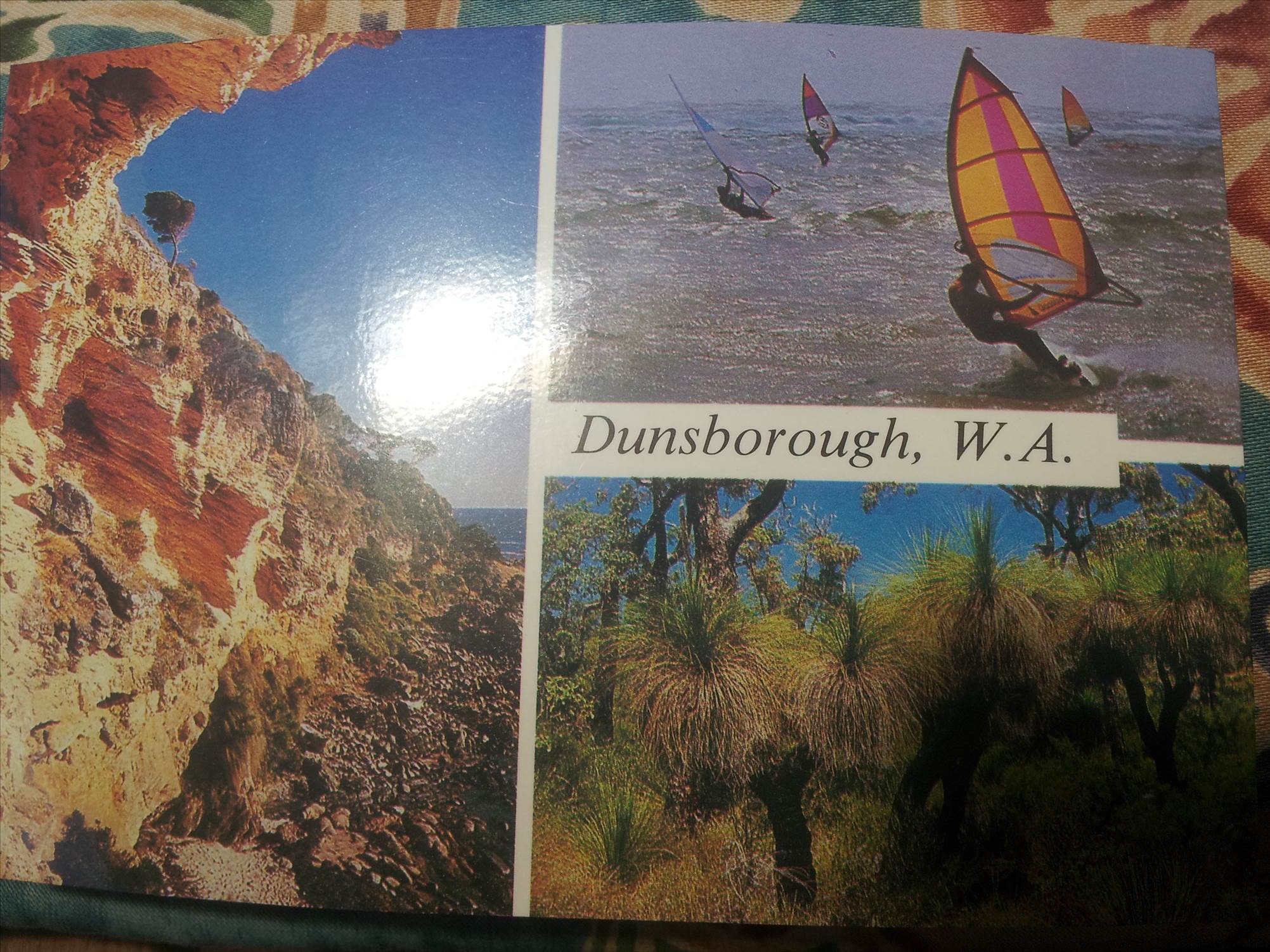 They were everywhere!