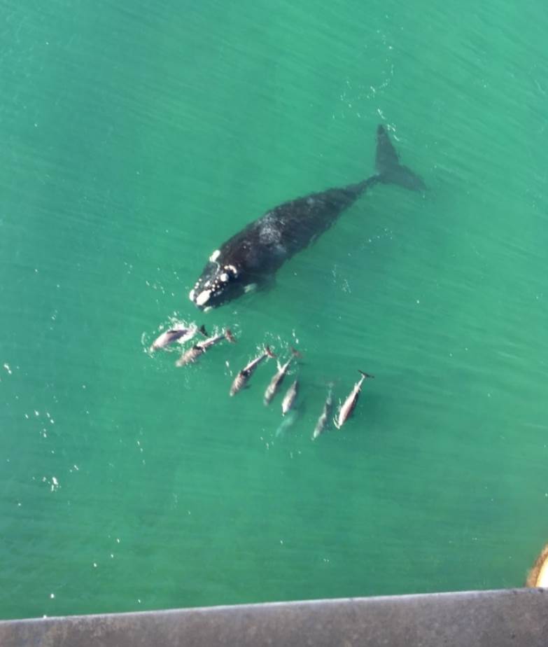 storageemulated0Androiddatacom.sec.imsservicefilesSamsung MessagesScreenshot 20190715-155845 Message