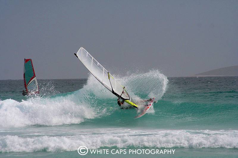 Cut back - Esperance Feb 08