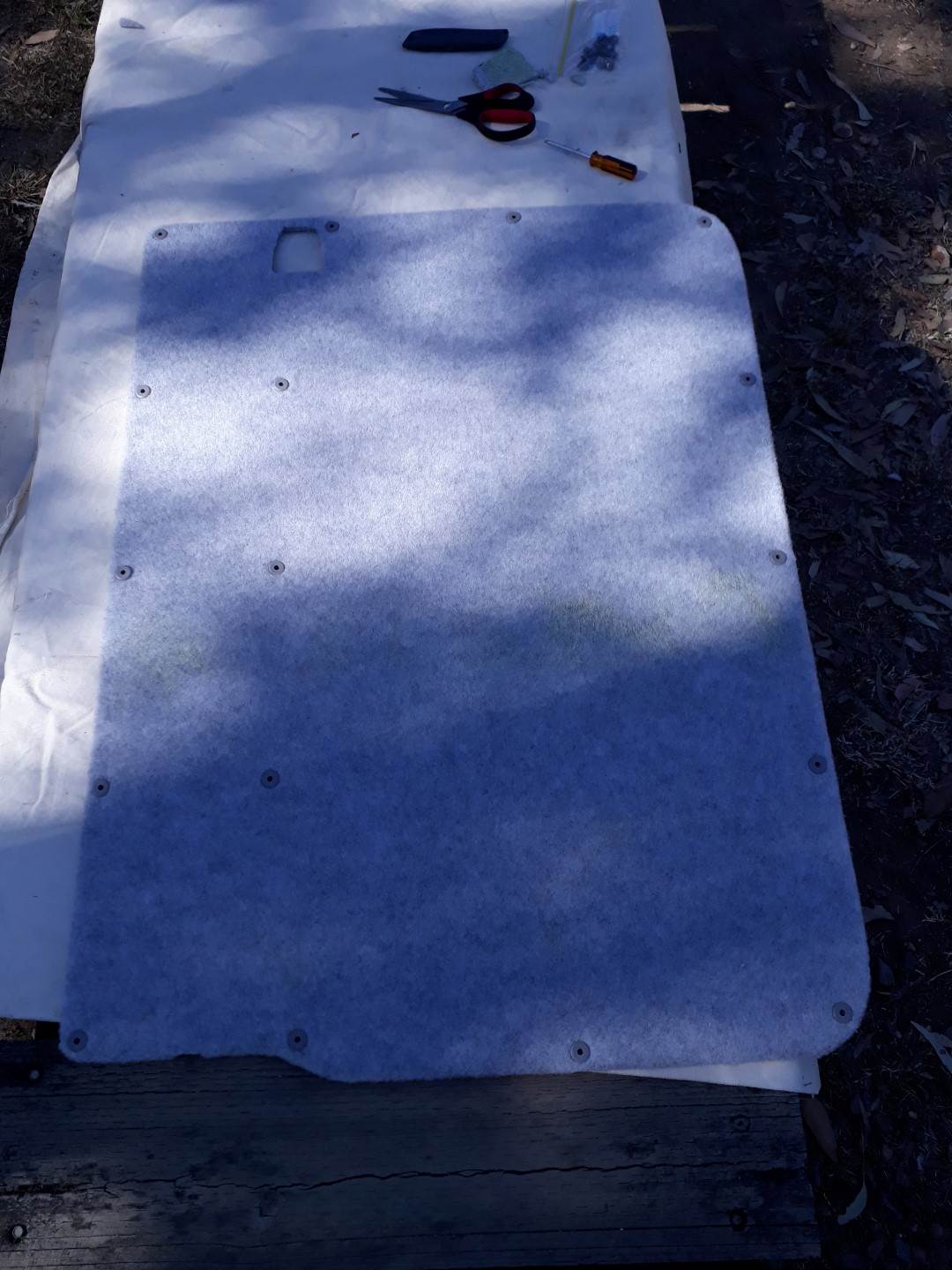 20190818 130549 (Large)