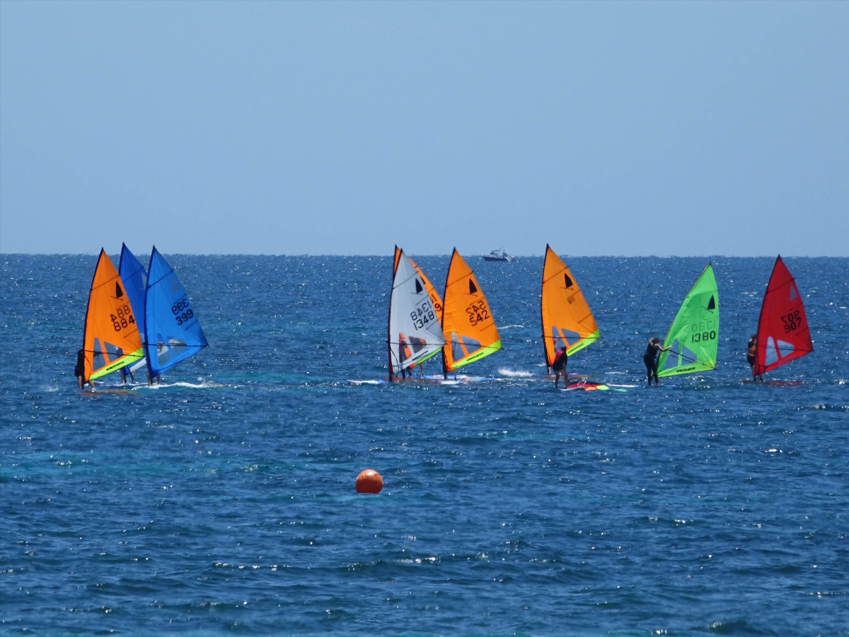 Windsurfer club race at BSYC