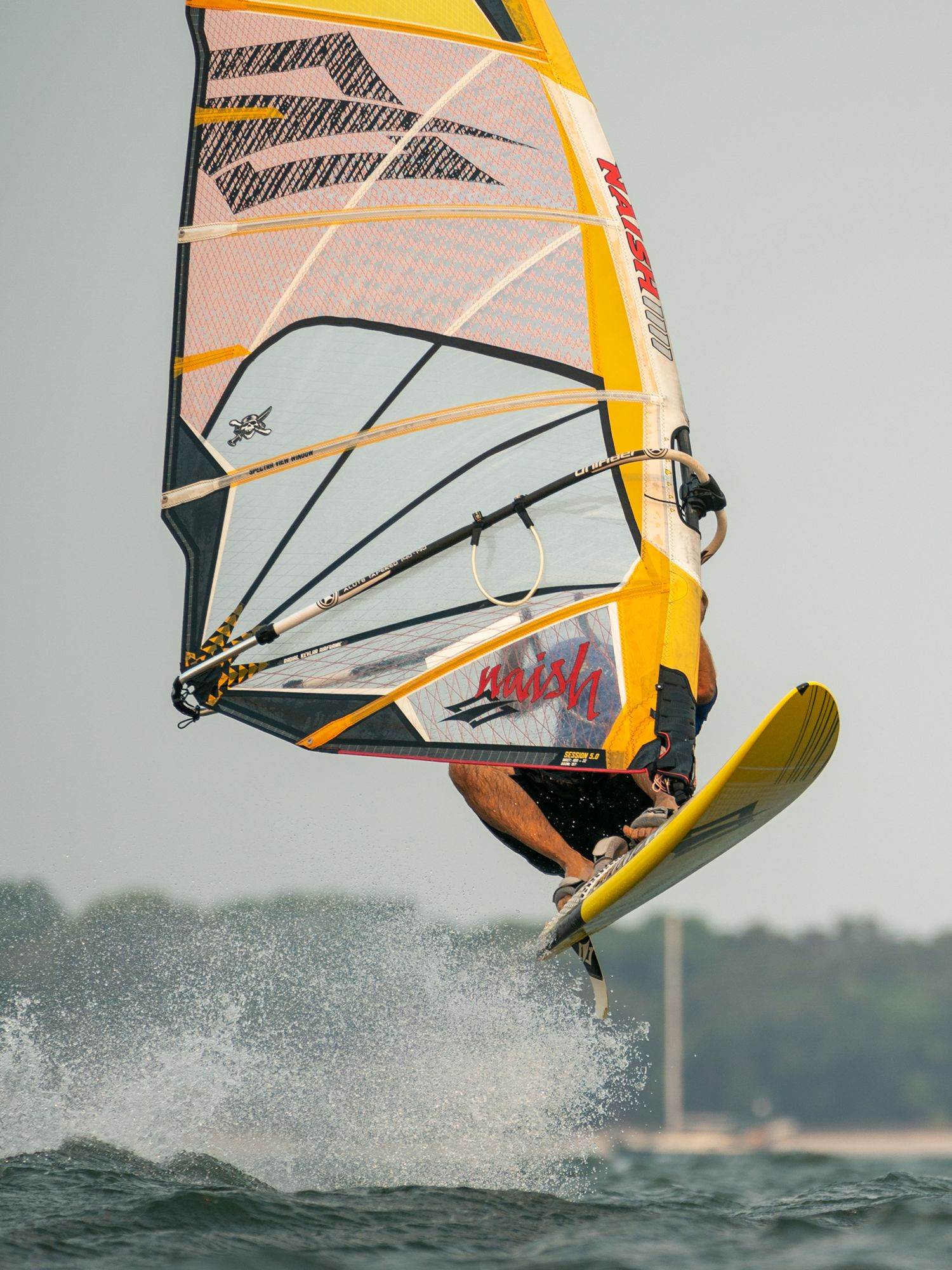Windy Southerly Shearwater 16-12-19