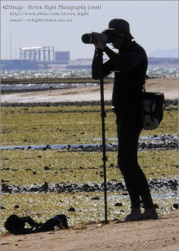 Gusty west wind at Wello.