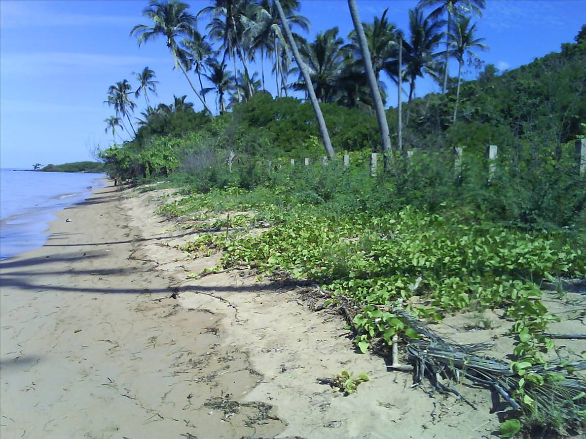 the chosen beachfront