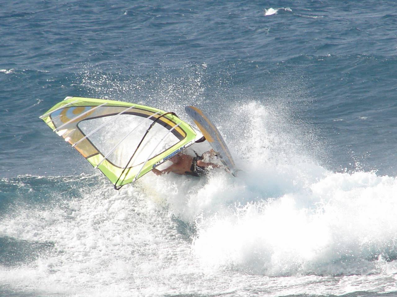 new np zone and firefly