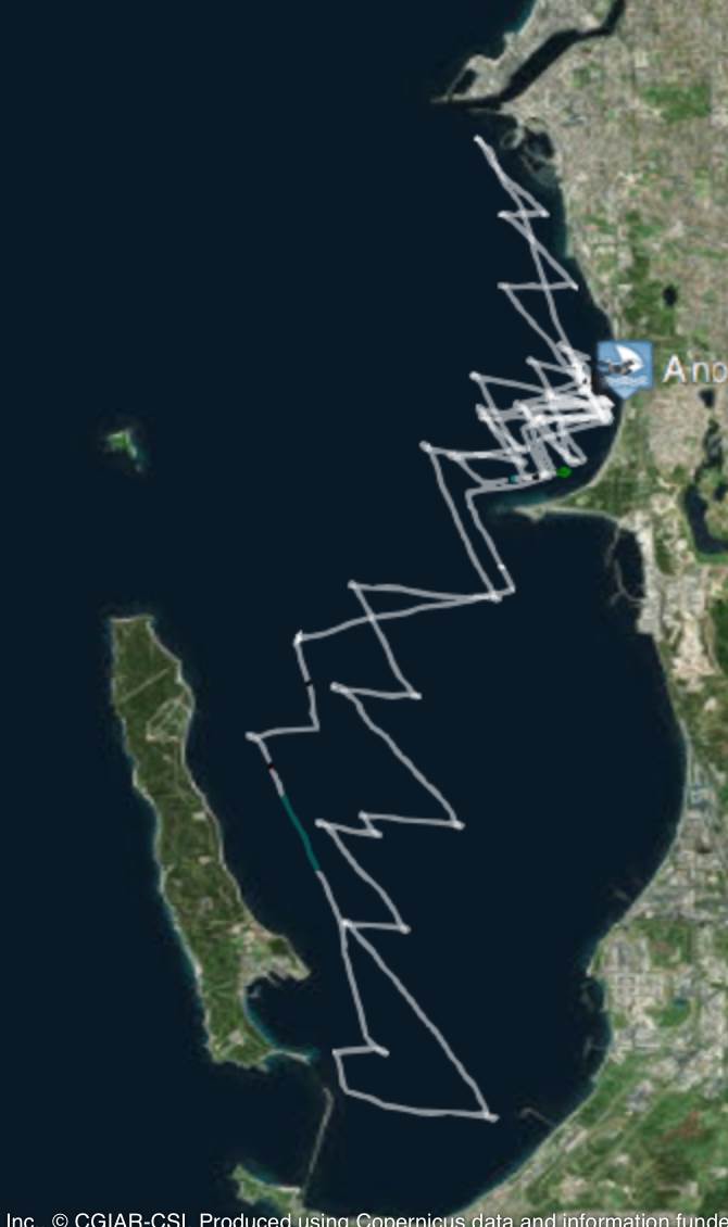 Screen Shot 2018-02-04 at 7.39.52 pm