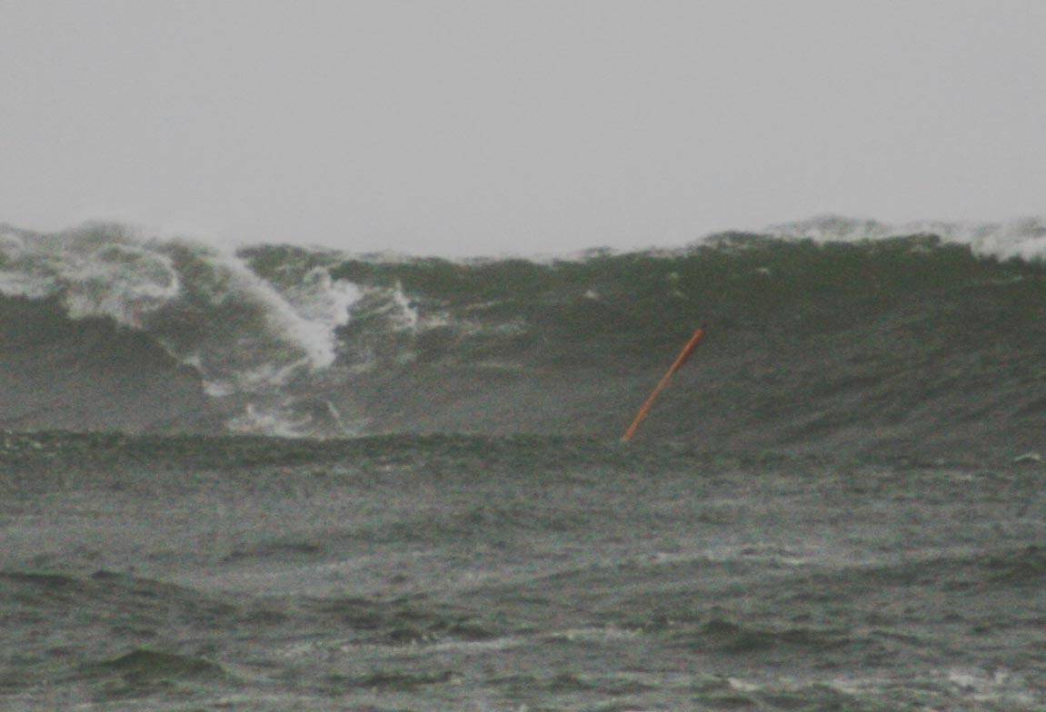 Marrawa - BOL - winter July