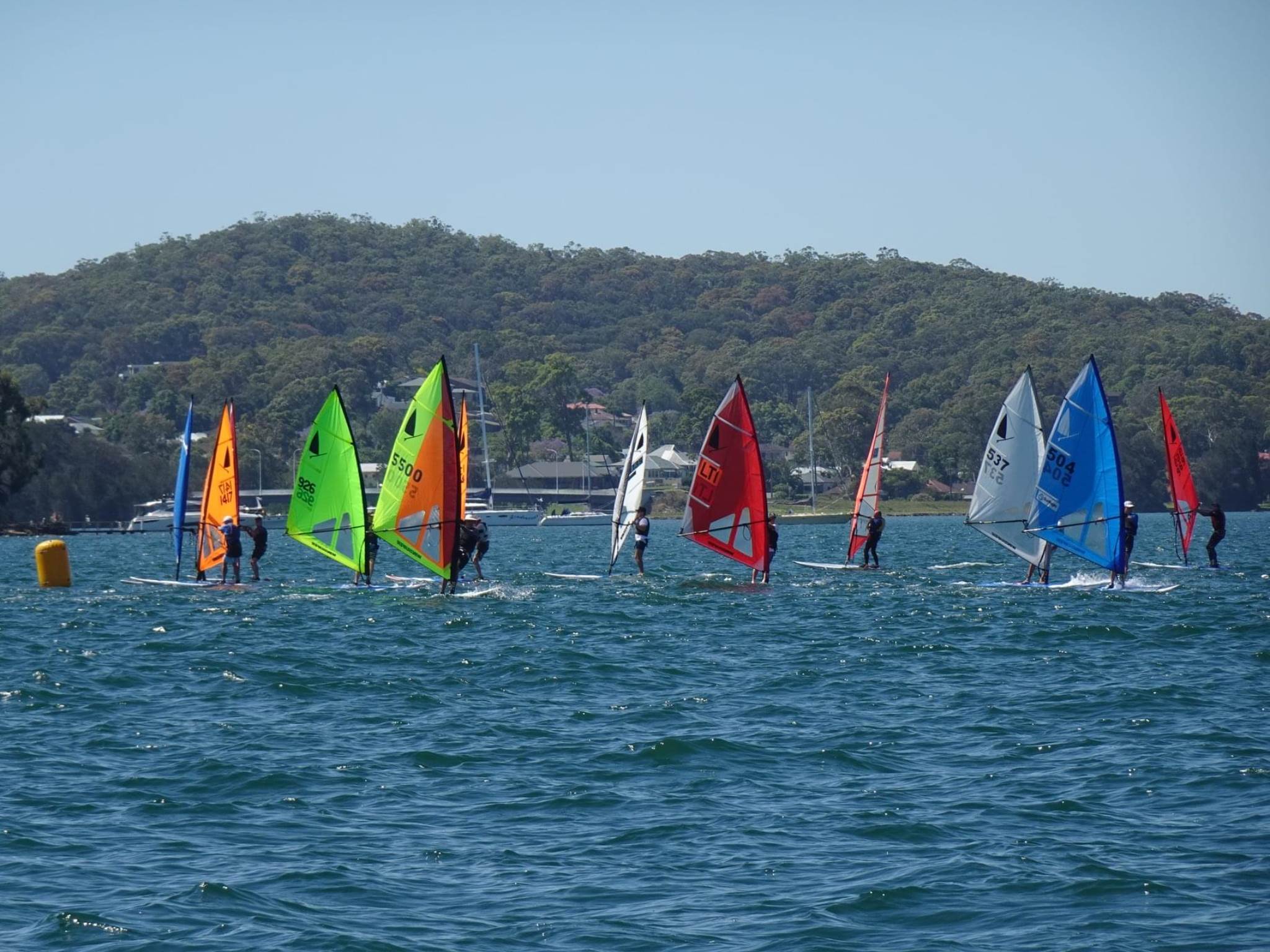 2020 Windsurfer Class state championships