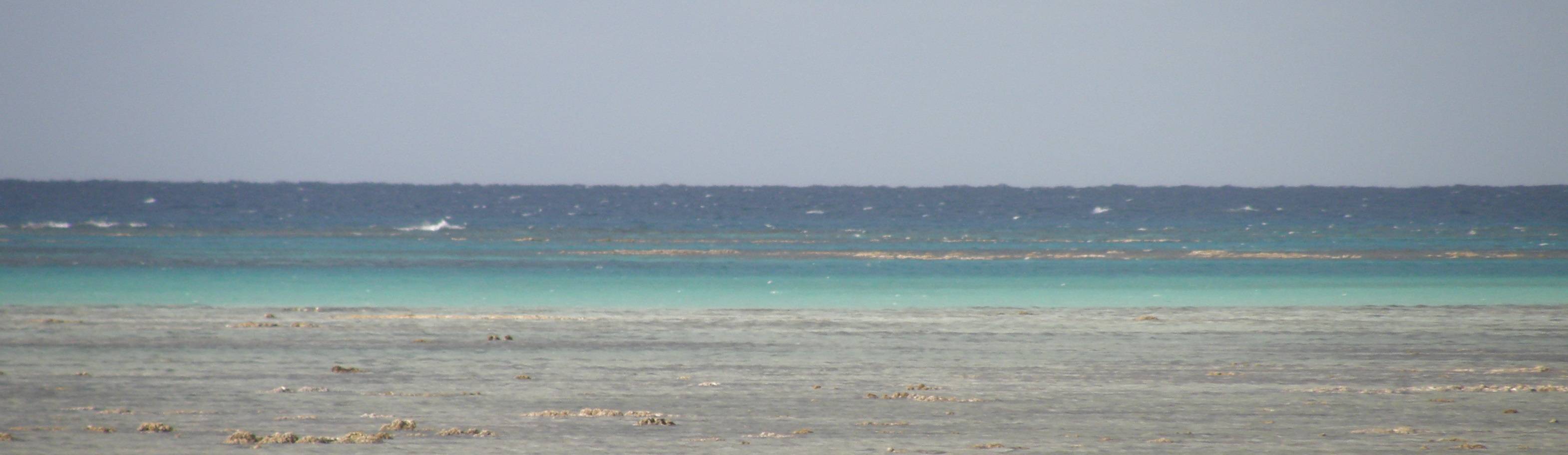 Green Island speed run