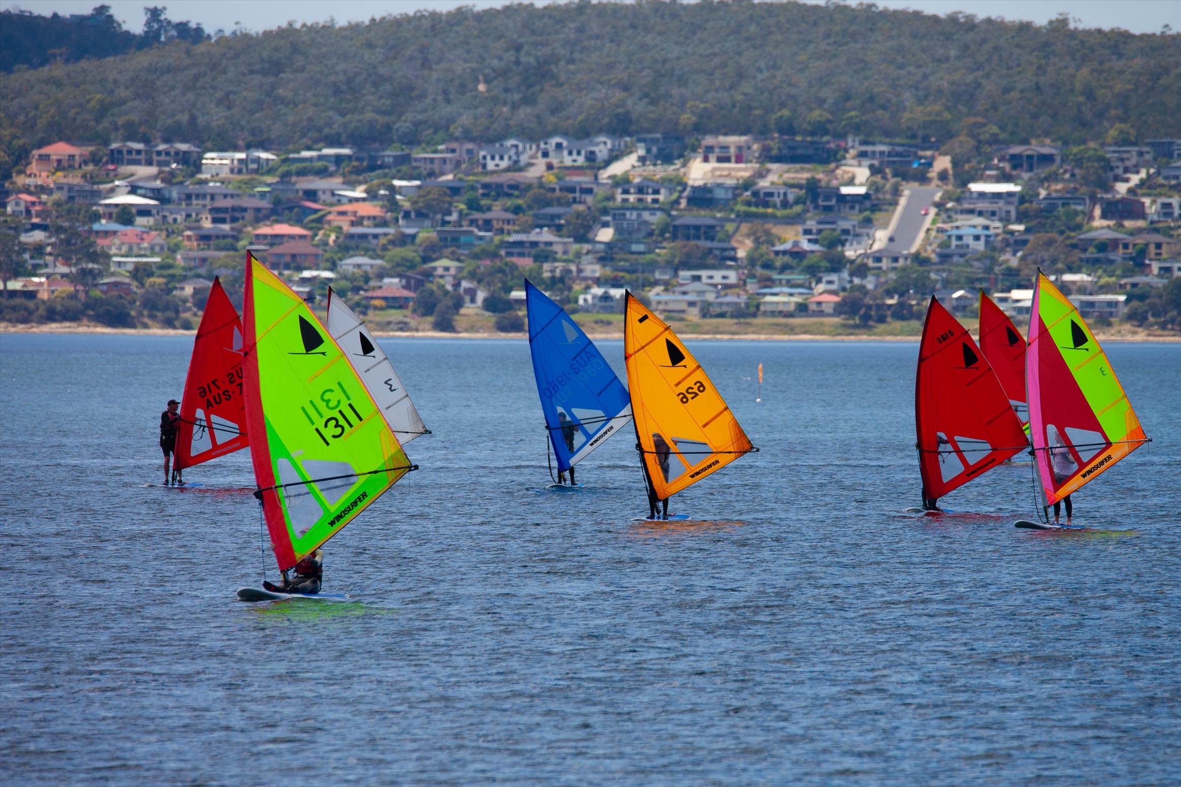 Windsurfer LT Tas State Titles