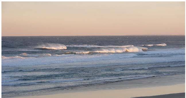 Birubi - The Shark Pit July 10, 2008