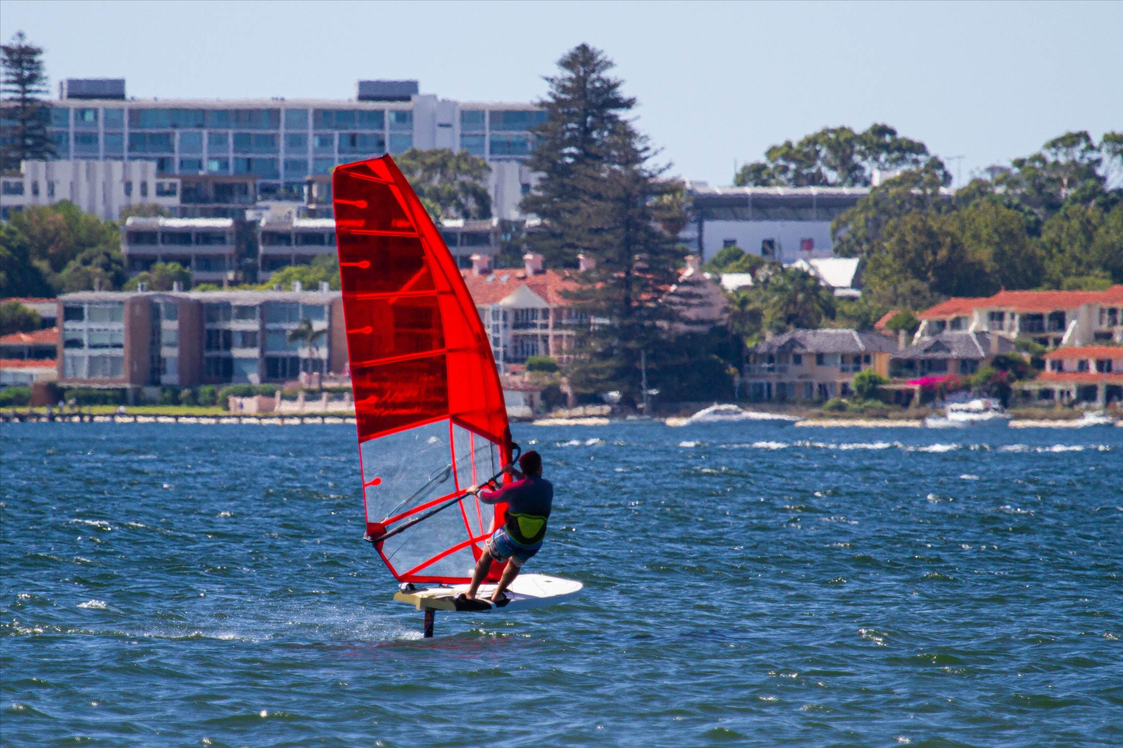 Perth Swan shark nursery