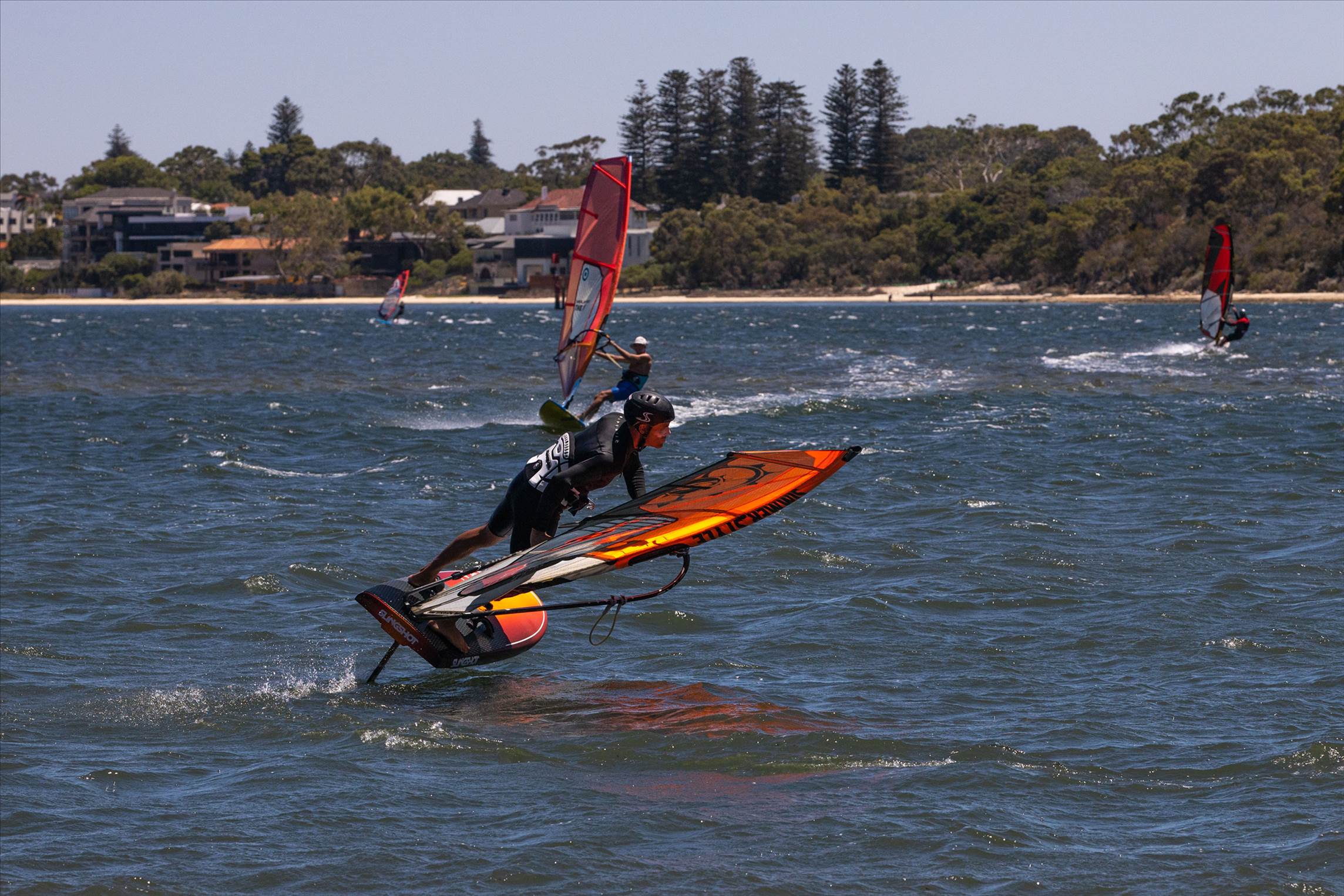 Perth Swan shark nursery