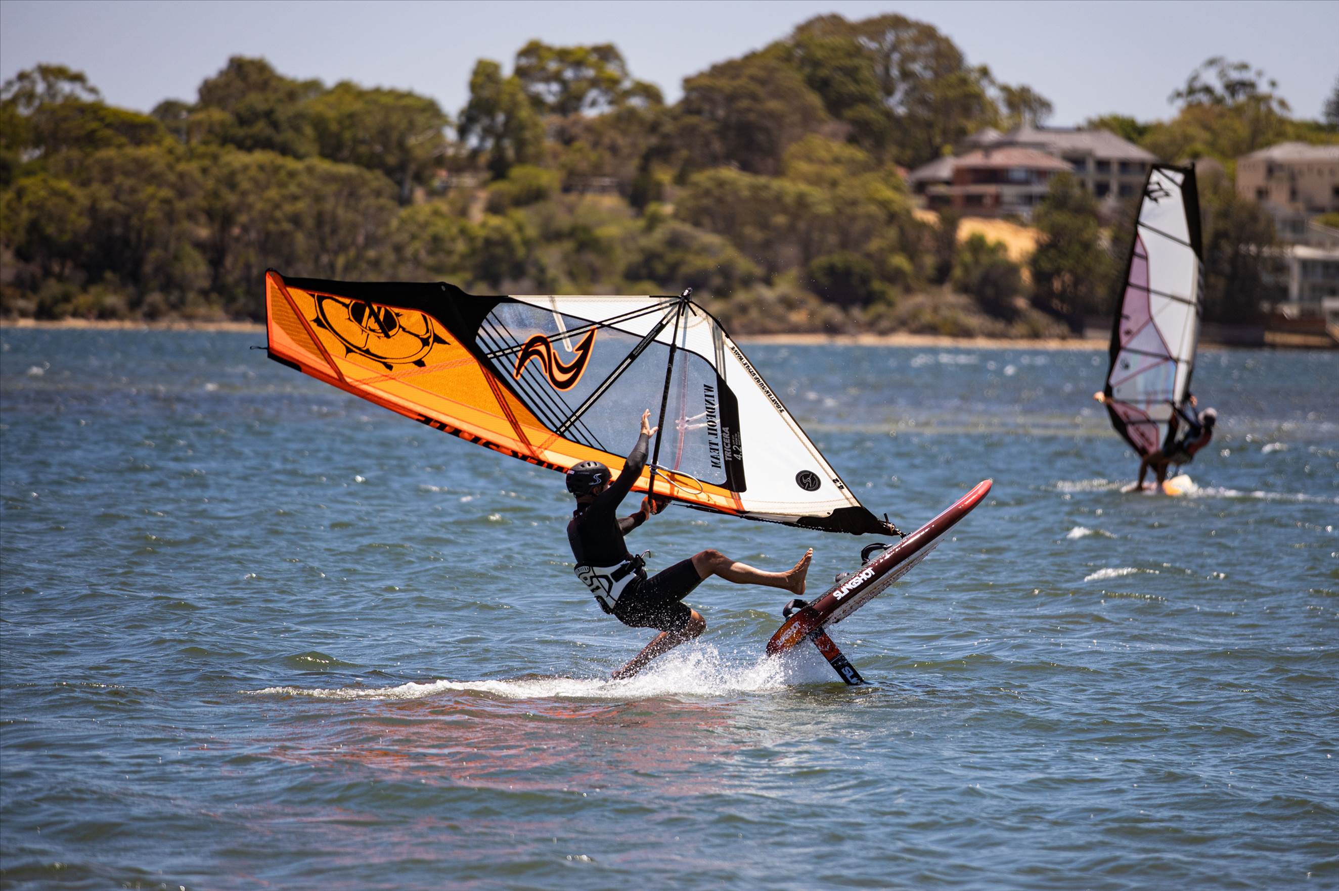 Perth Swan shark nursery