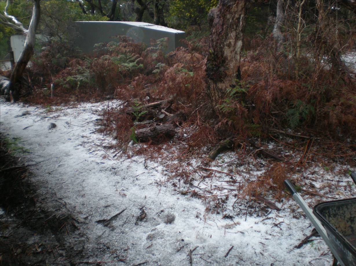 more nice sailing weather. The white stuff,s not s