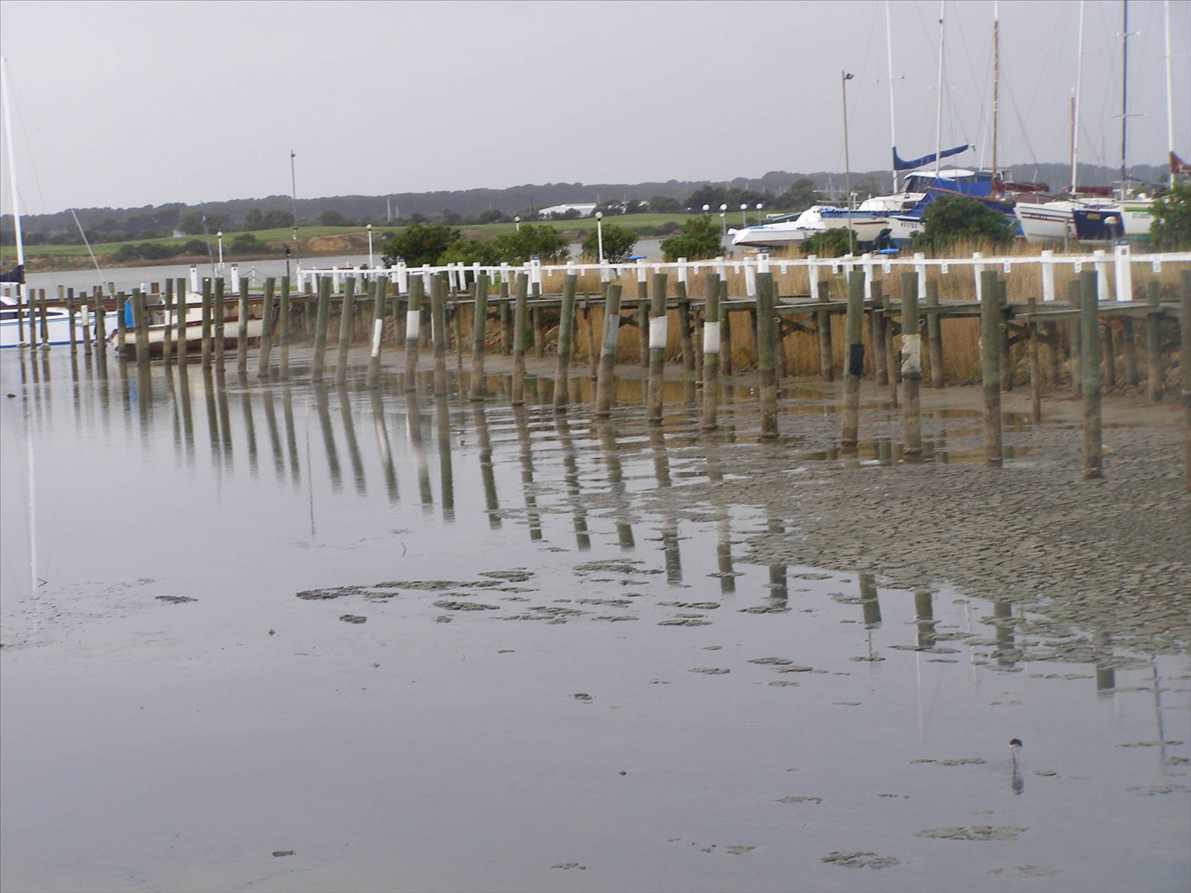 Goolwa in trouble!!!