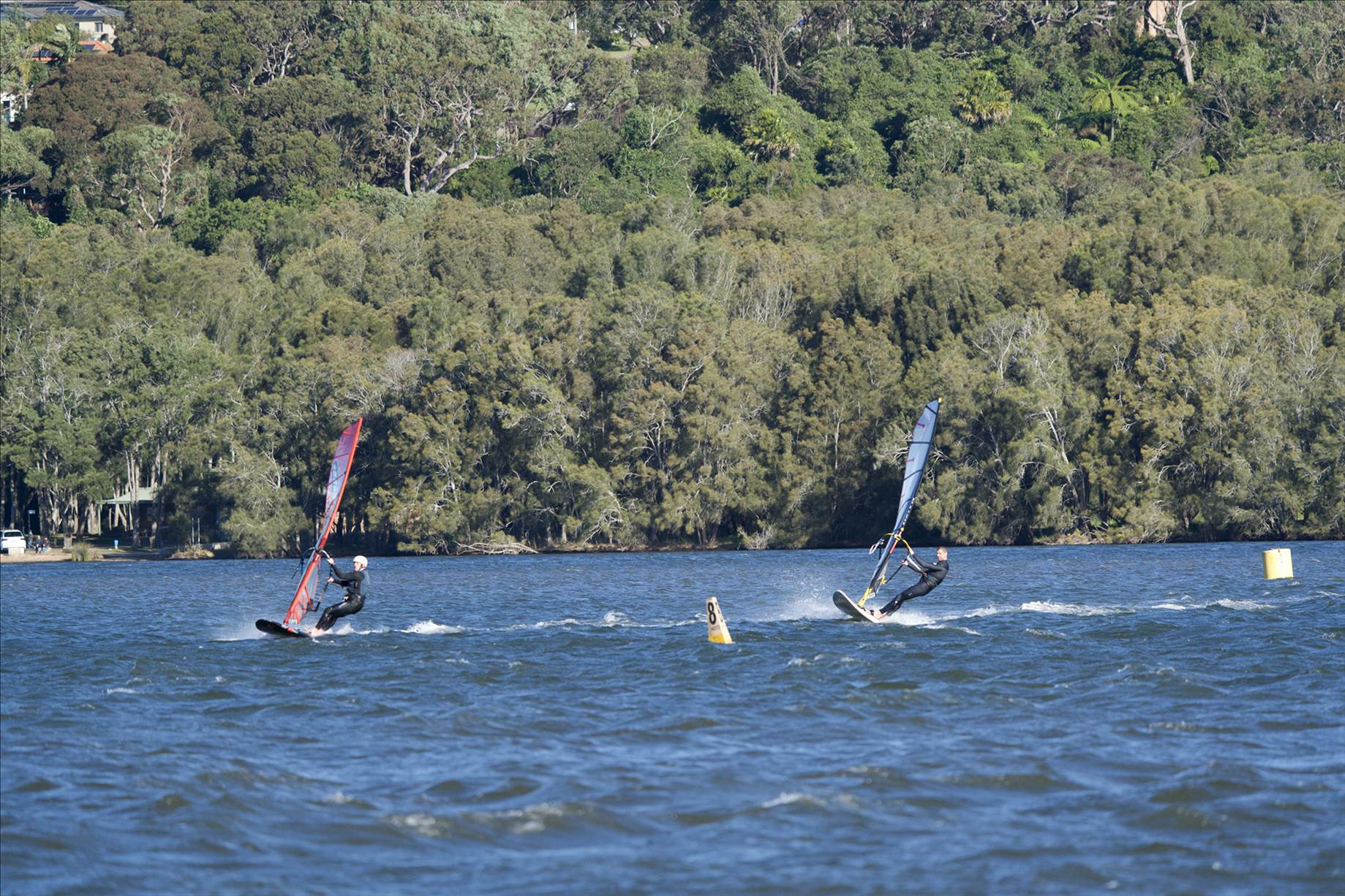 Windy Saturday. 17/7/2021