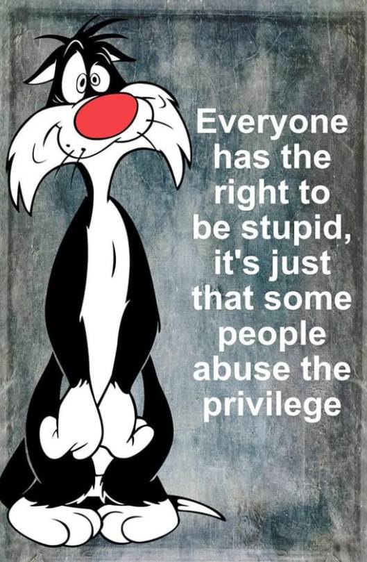 Screen Shot 2022-06-26 at 12.51.08 PM