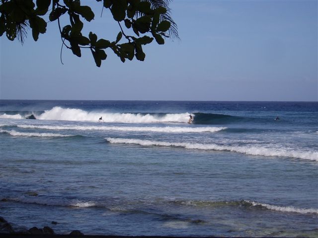 the mellow days before the swell kicked