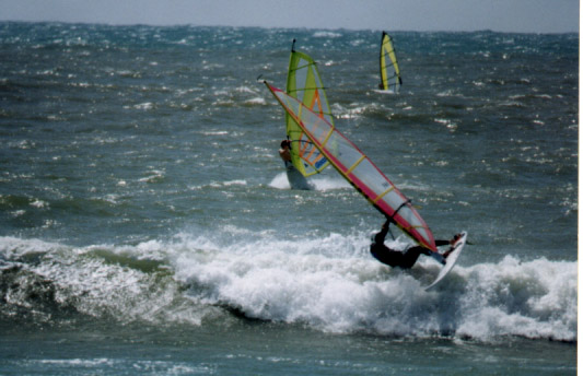 Geary's 1999 or 2000