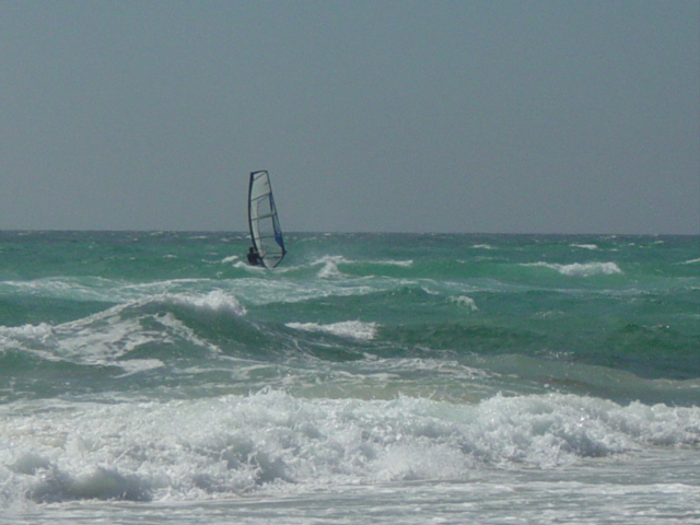 friday at north kirra