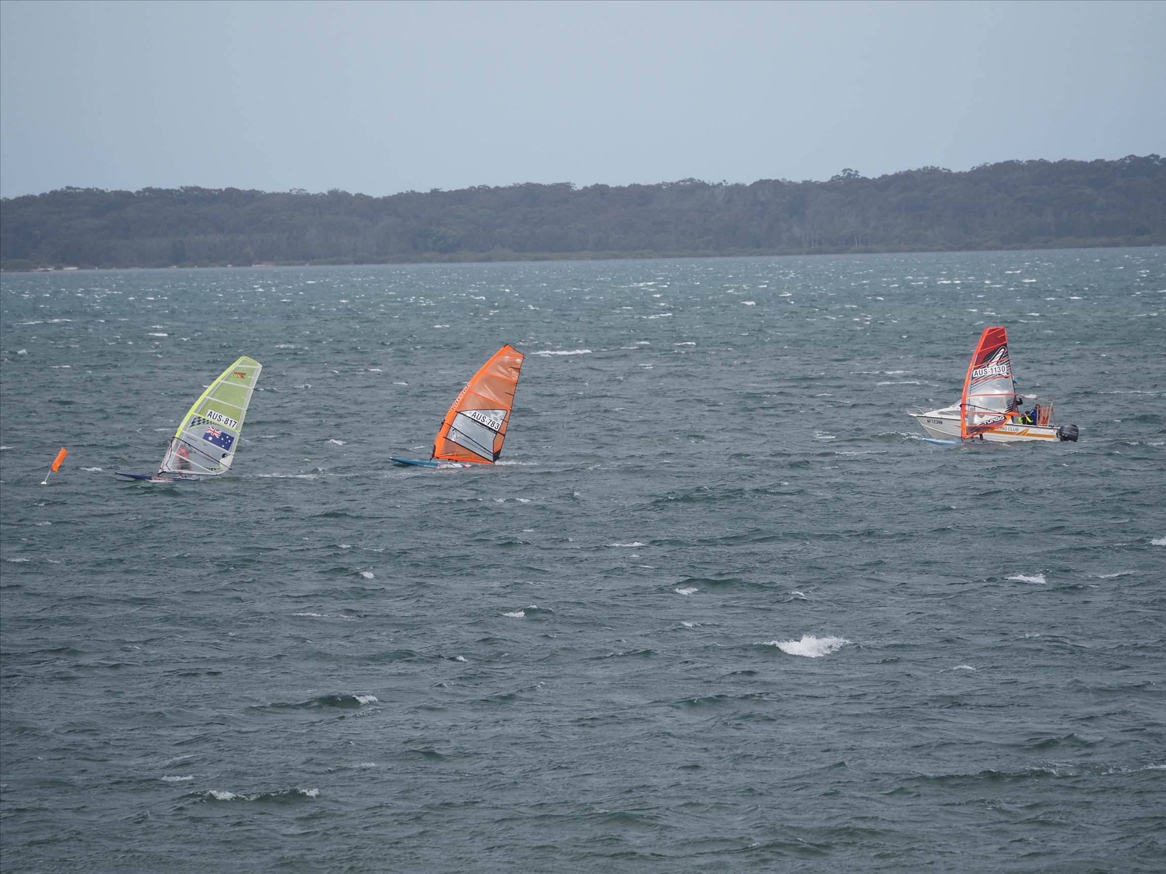 Raceboard State Championships