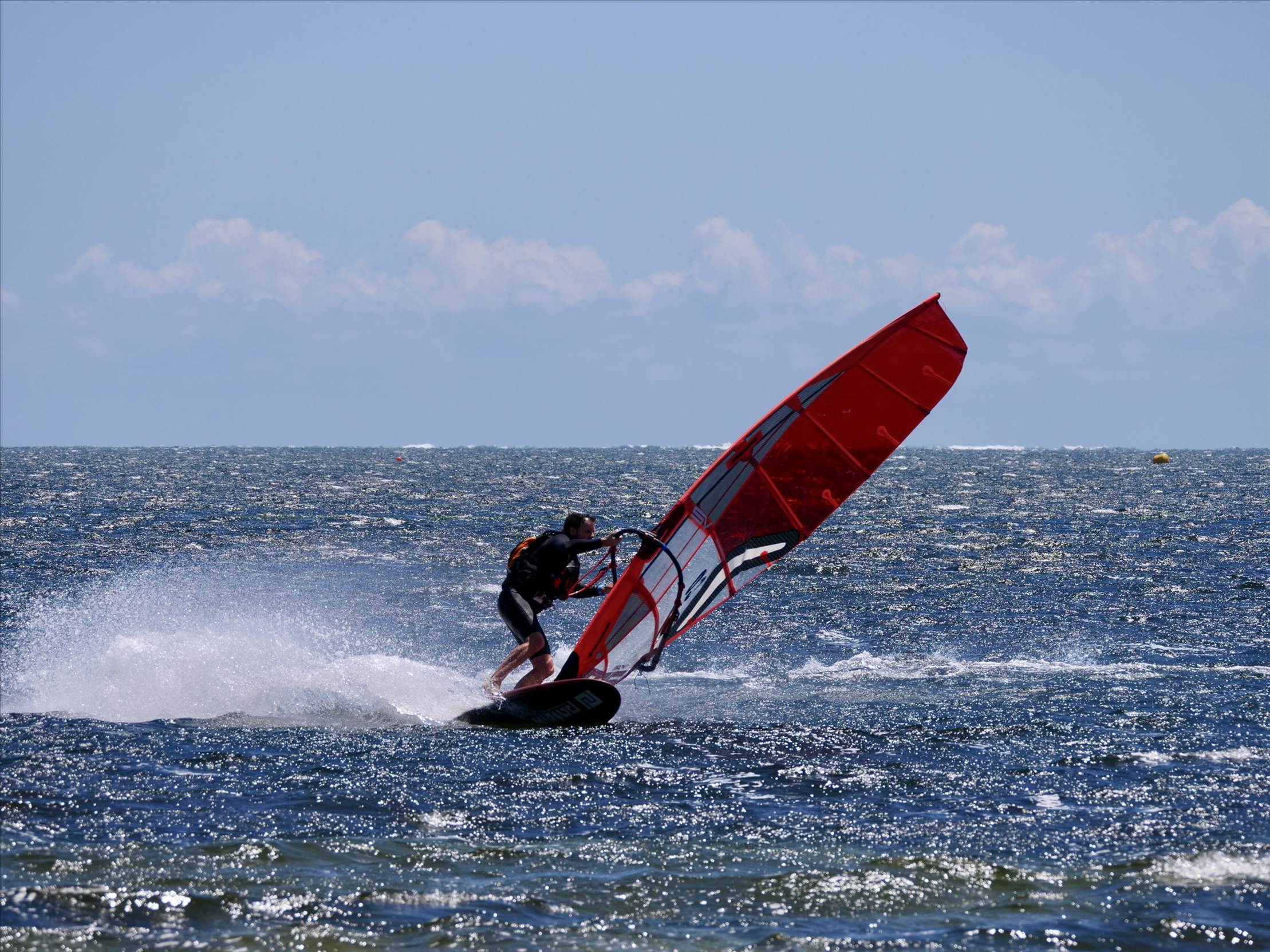 Screamin Leeman - 2023