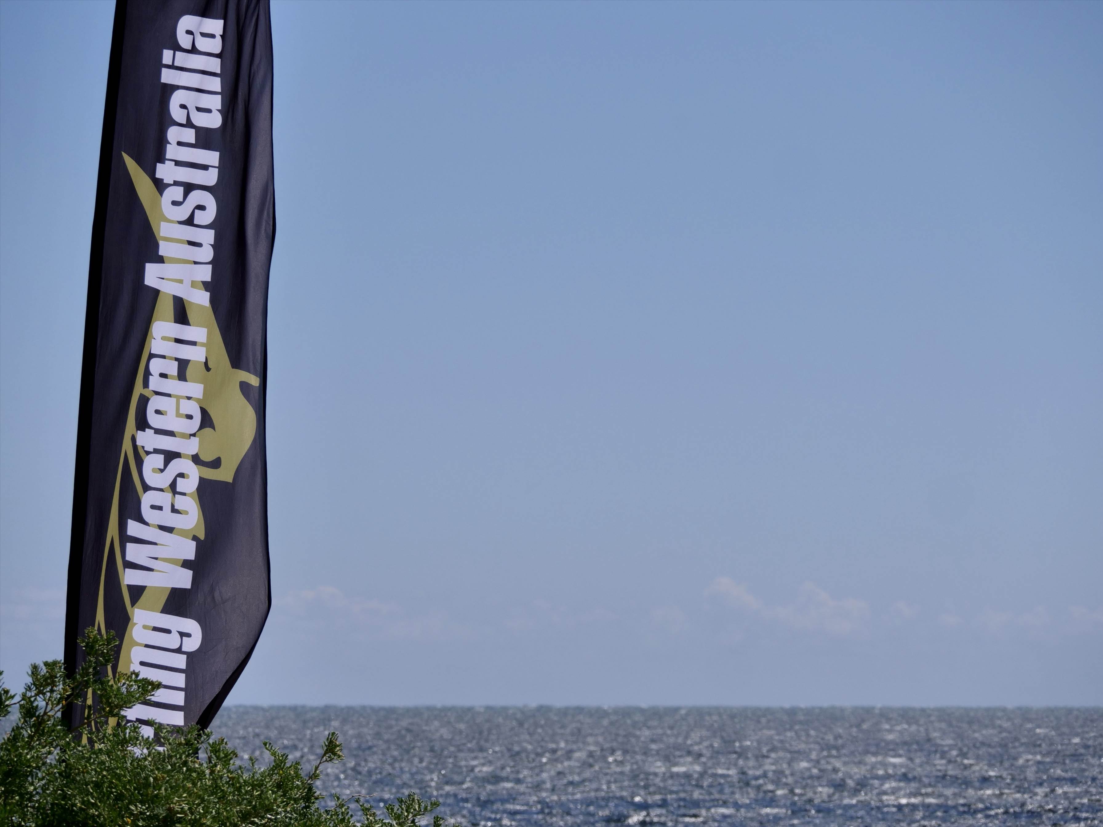 Screamin Leeman - 2023