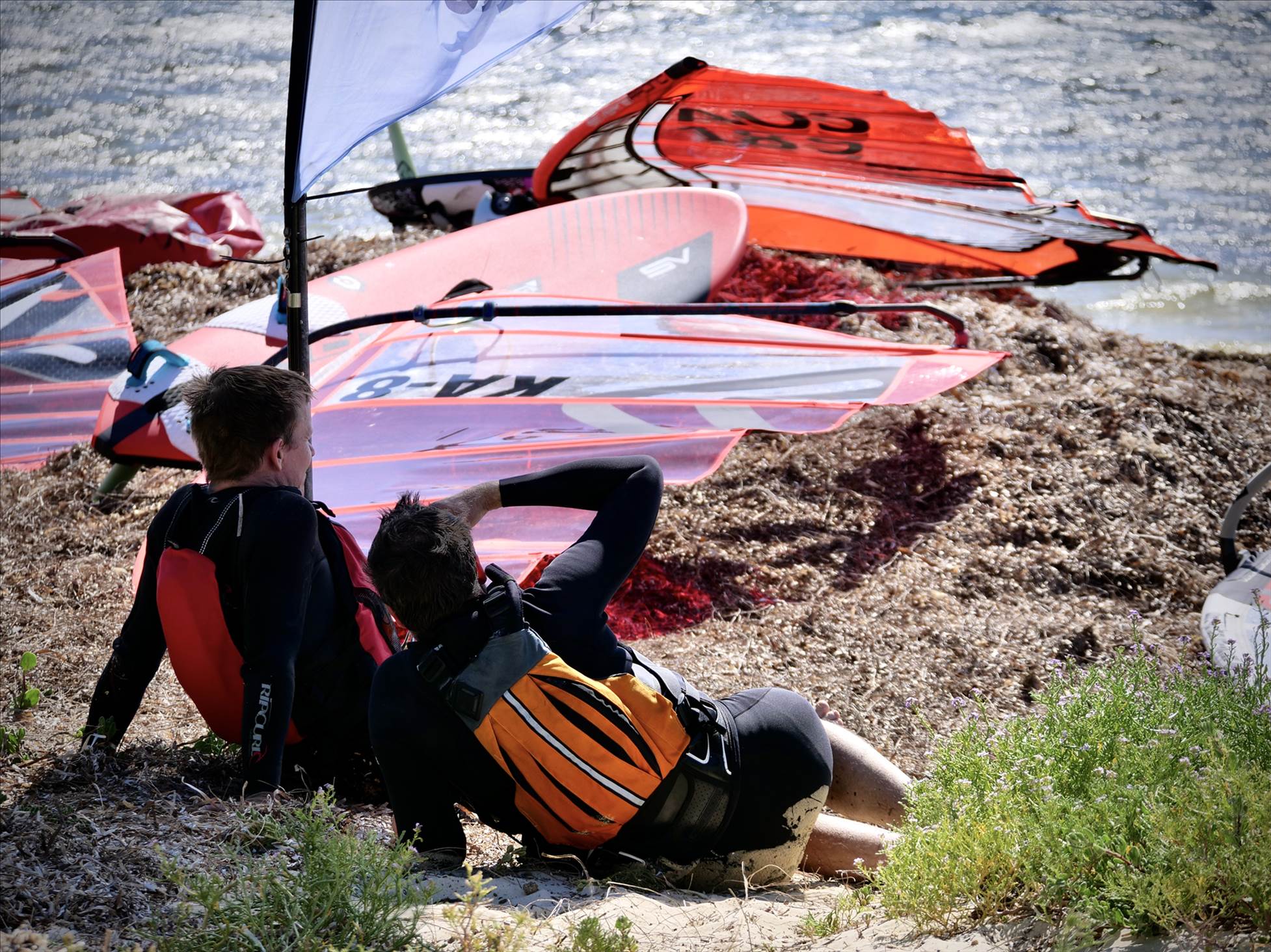 Screamin Leeman - 2023