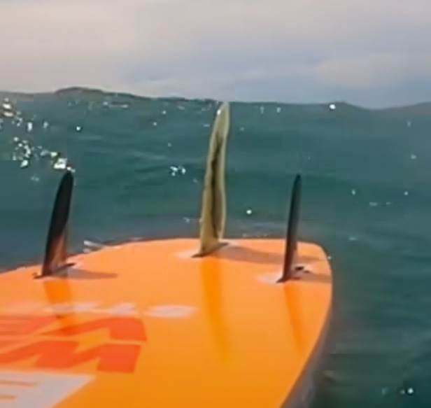 Screenshot20230219-110310