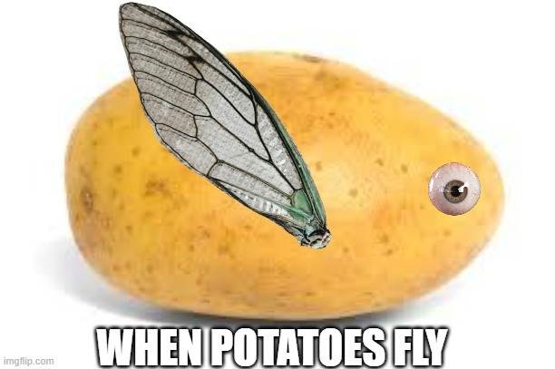 Flying potato