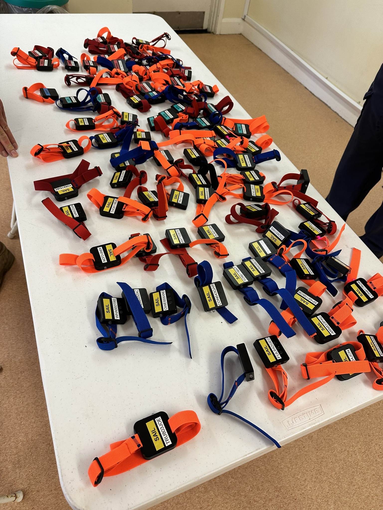 387212428718069720360579551230610976030008n