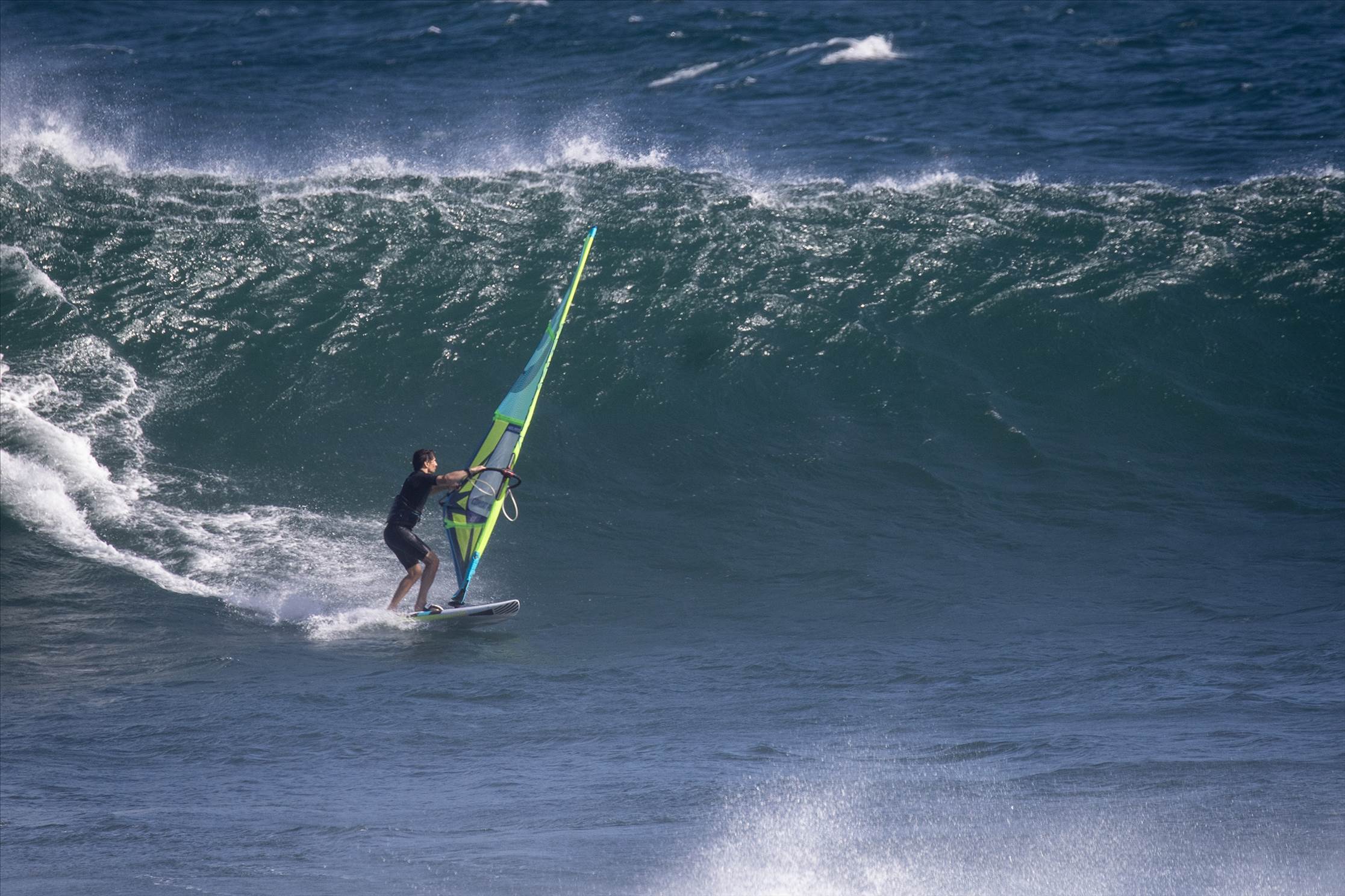 NSWWA East Coast Titles
