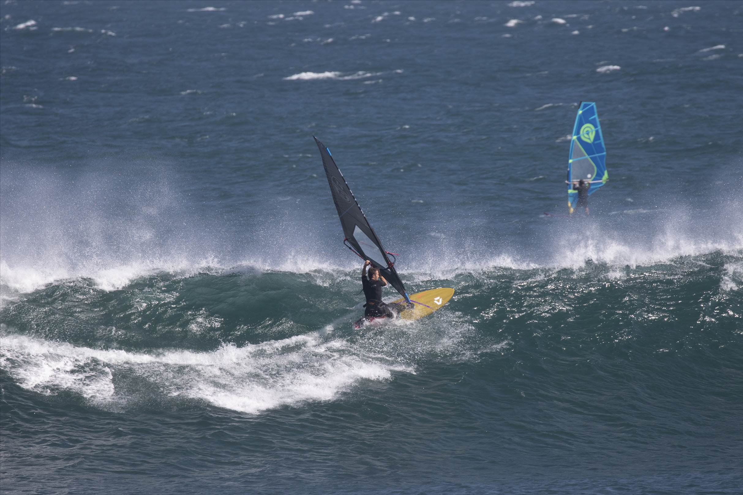 NSWWA East Coast Titles