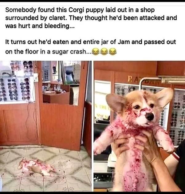 main-qimg-de2e1814528e10af1017bf85708d0a40