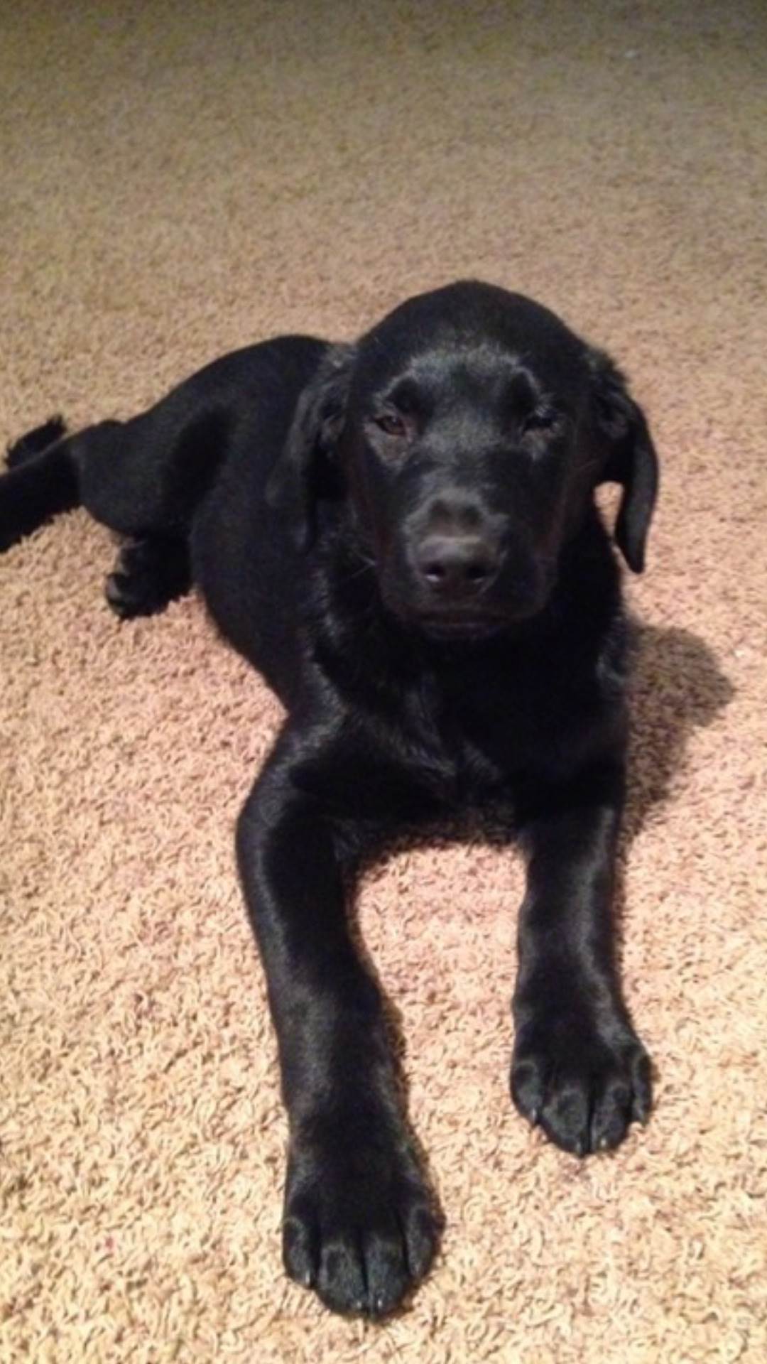 Screenshot2020-09-29-13-51-12