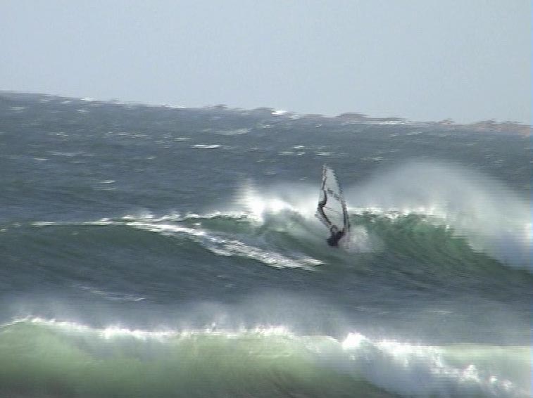 cuttie at bluff beach