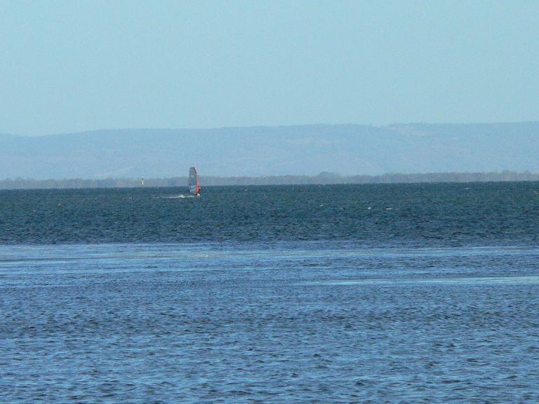 The Big Fella coming back