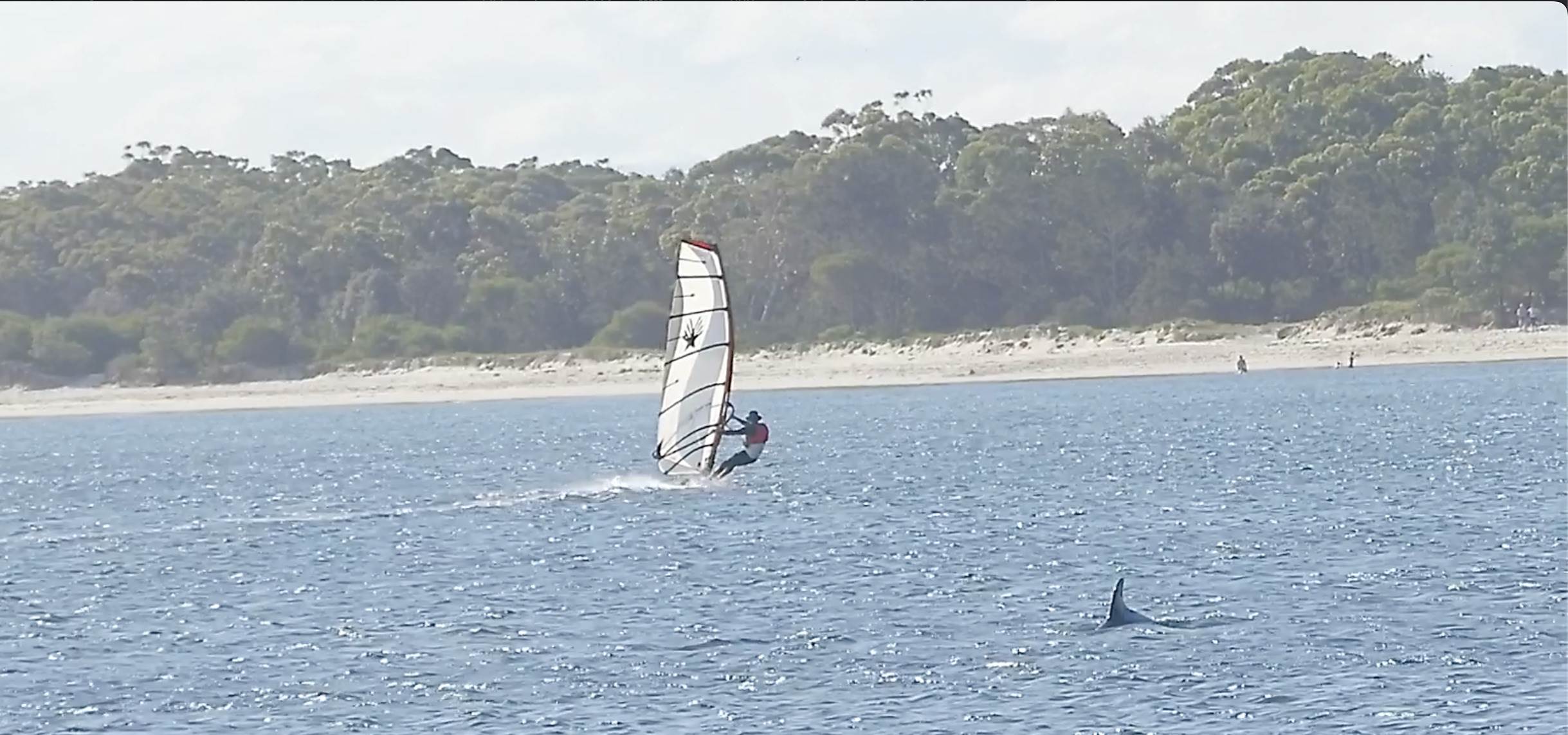 Screenshot 2024-10-12 at 23.04.15