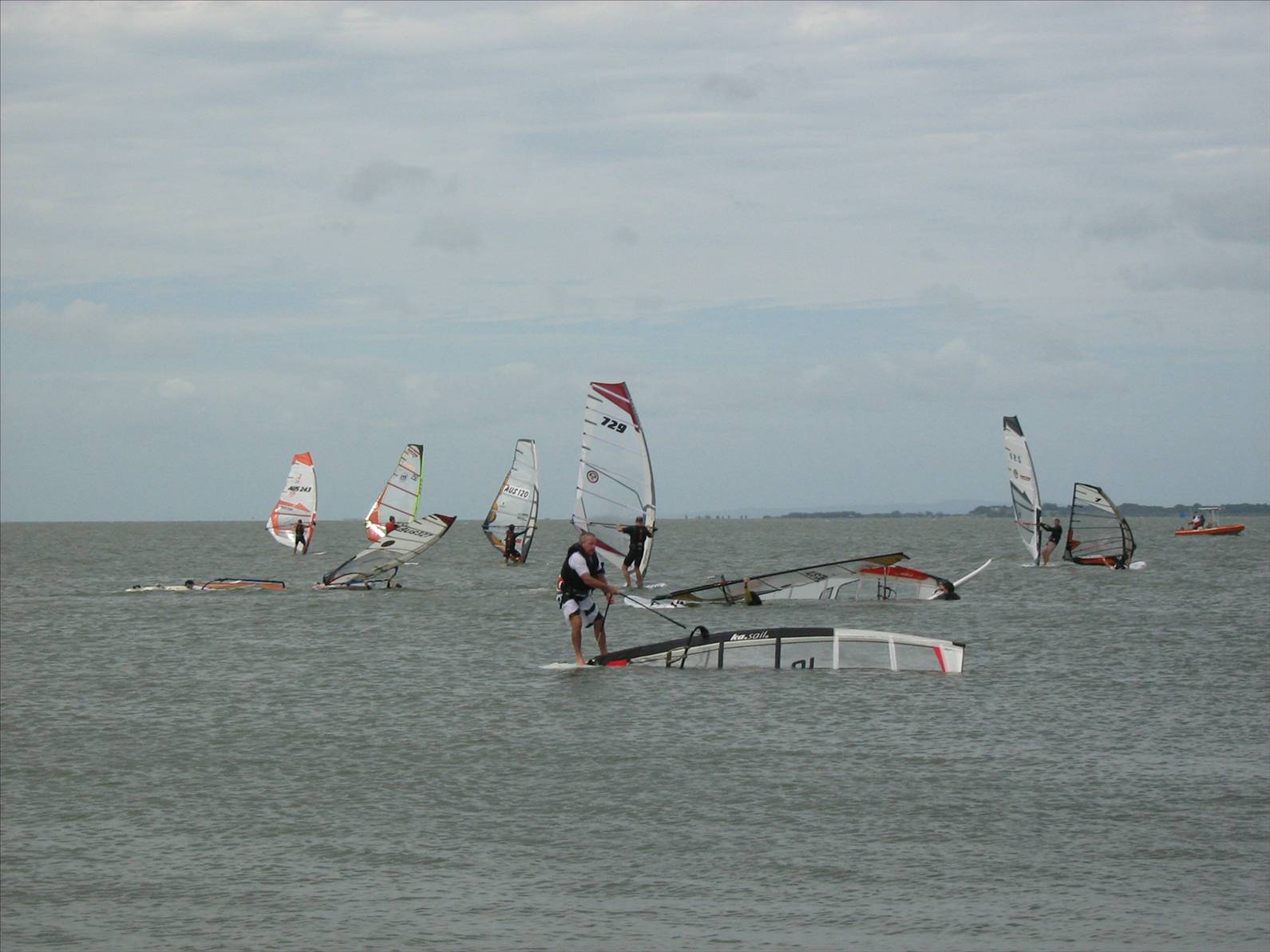 ray getting it up . waterloo cup 09