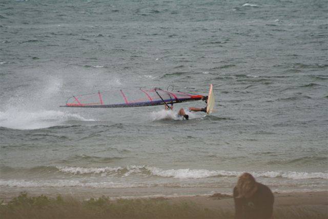 shearwater sat 3 jan 09