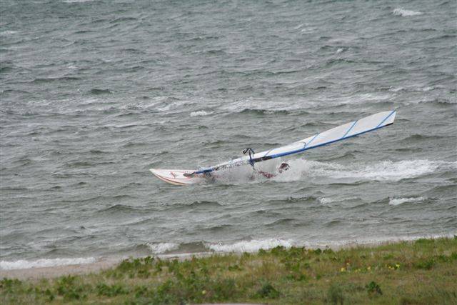 shearwater sat 3 jan 09