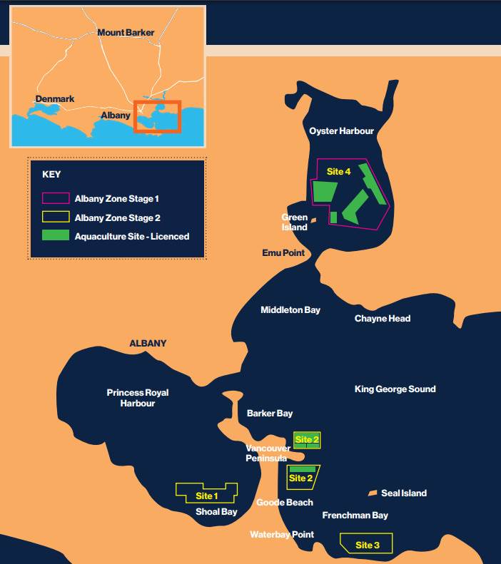 Capture-1-e1728982622619