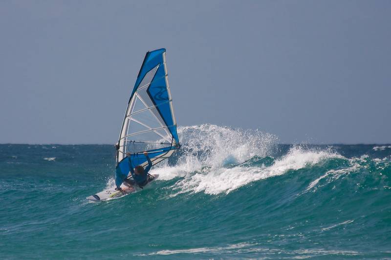 SEQWA expression session