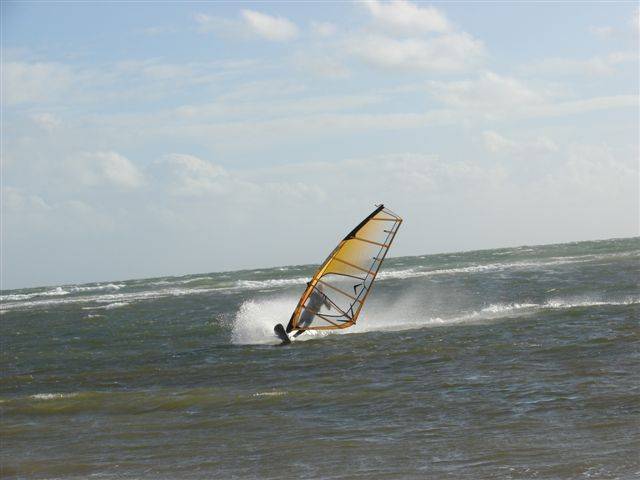 Afternoon Session 16 Jan 09